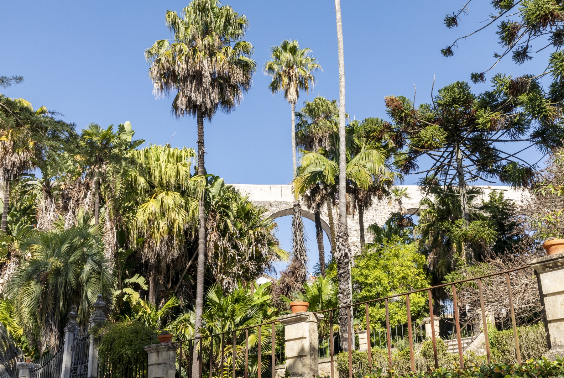 Coimbra Botanical Garden and Aqueduct 2023